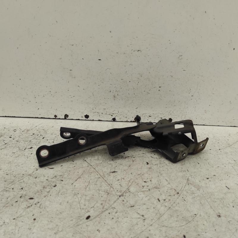 bonnet hinge/strut