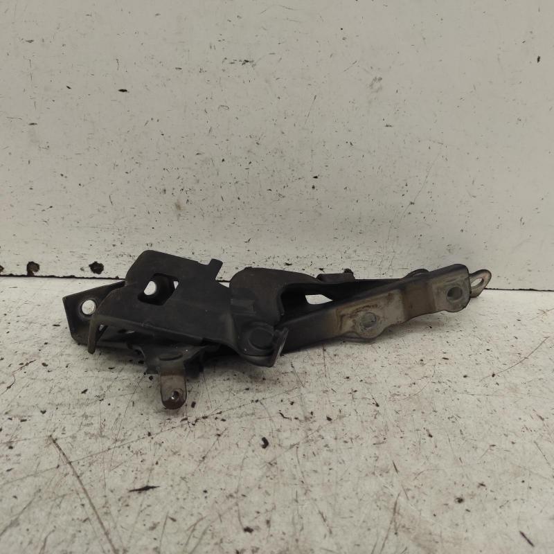 bonnet hinge/strut