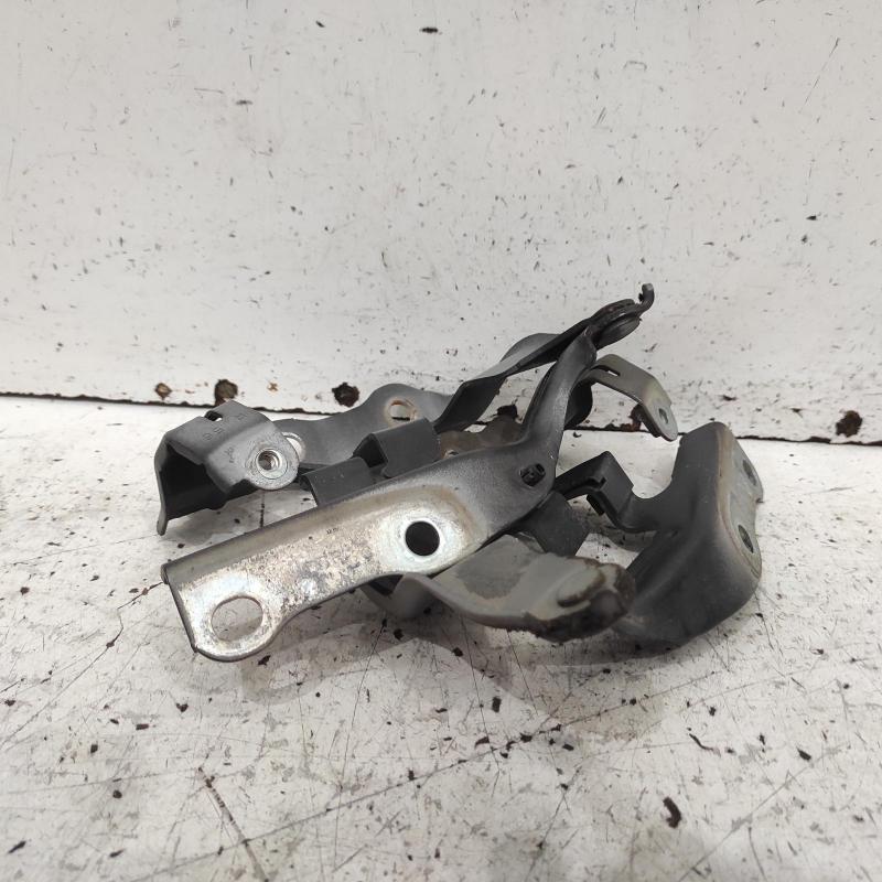 bonnet hinge/strut
