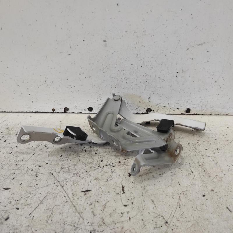 bonnet hinge/strut