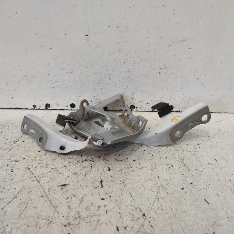 bonnet hinge/strut
