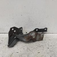 bonnet hinge/strut