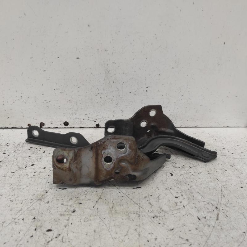bonnet hinge/strut