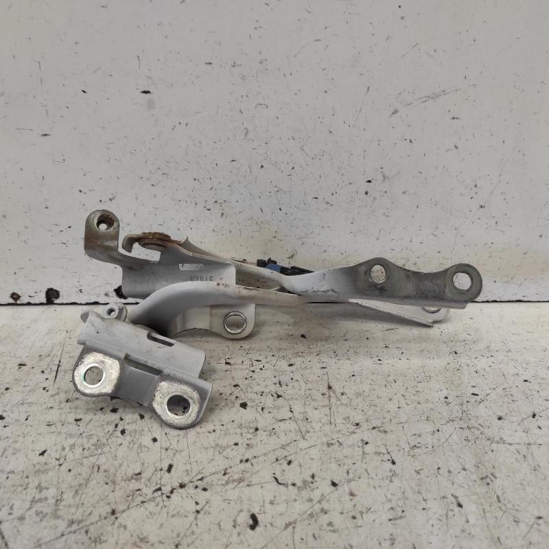 bonnet hinge/strut