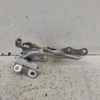 bonnet hinge/strut