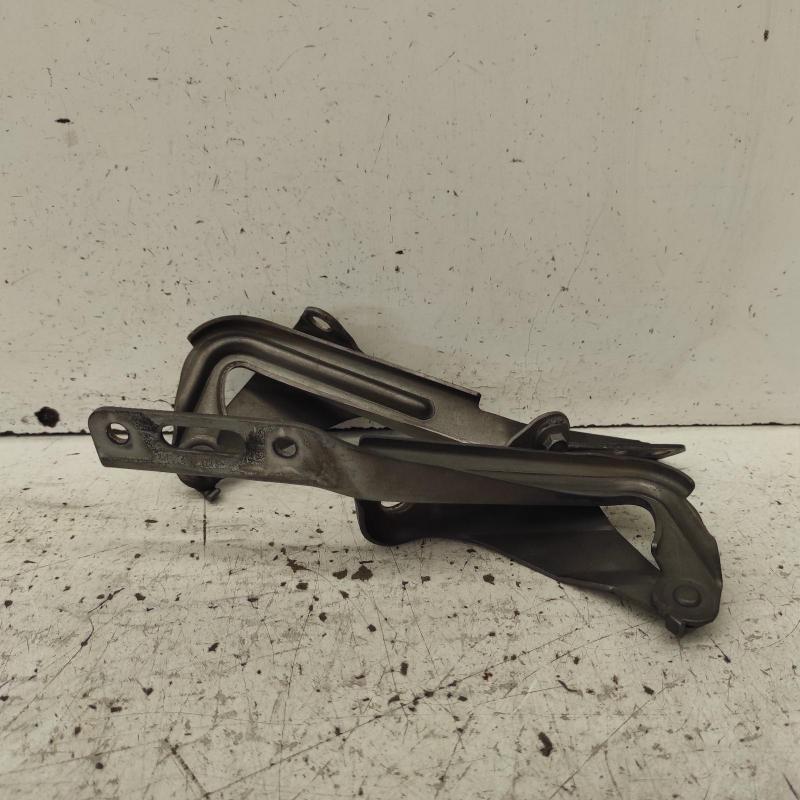 bonnet hinge/strut