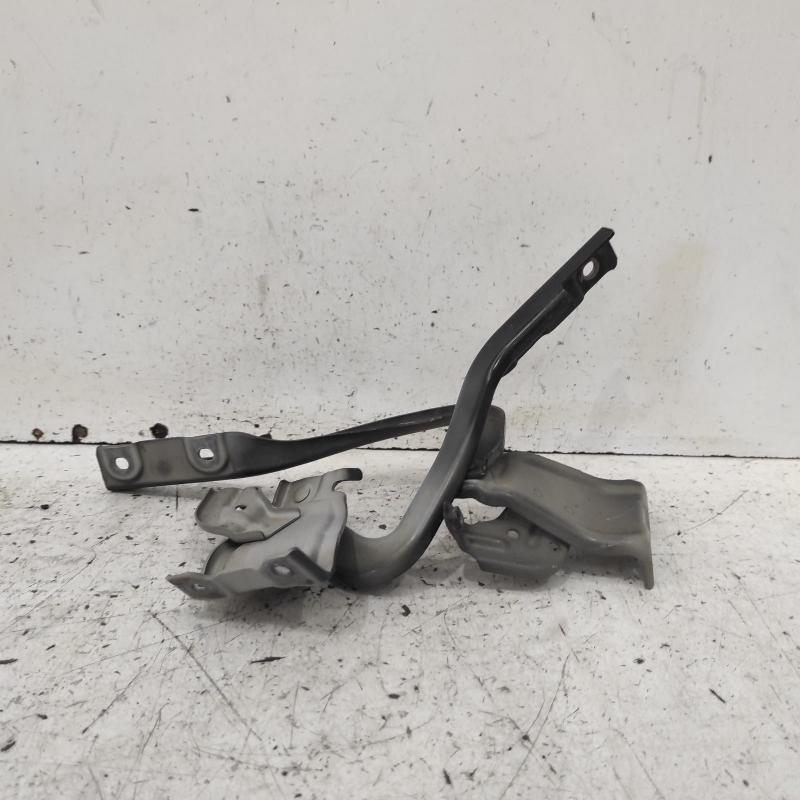 bonnet hinge/strut