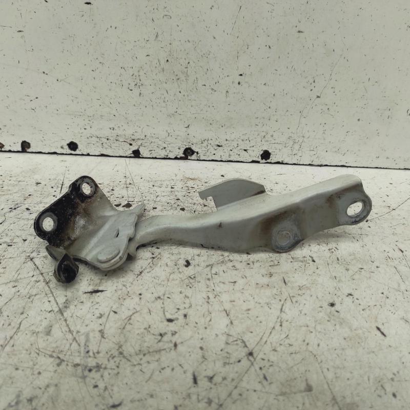 bonnet hinge/strut