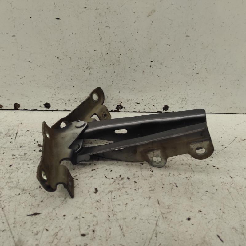 bonnet hinge/strut