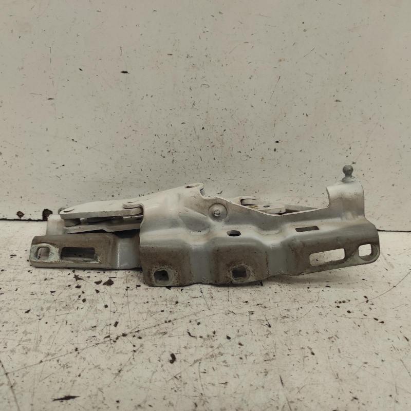 bonnet hinge/strut