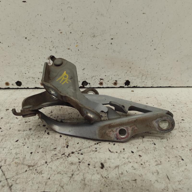 bonnet hinge/strut