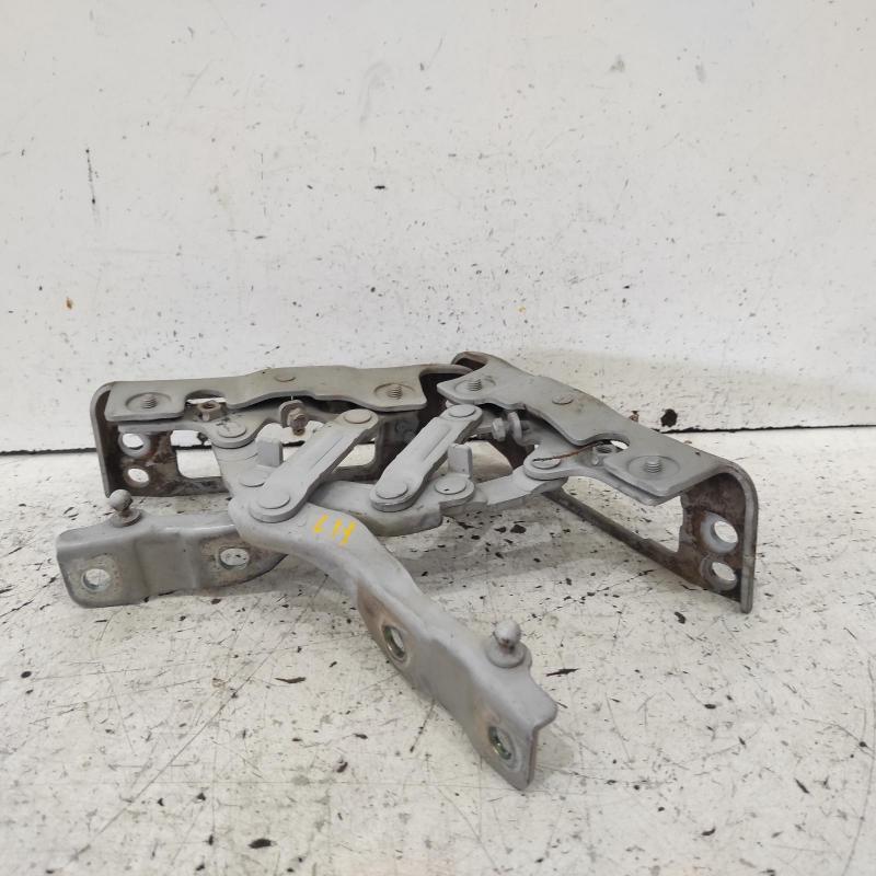 bonnet hinge/strut