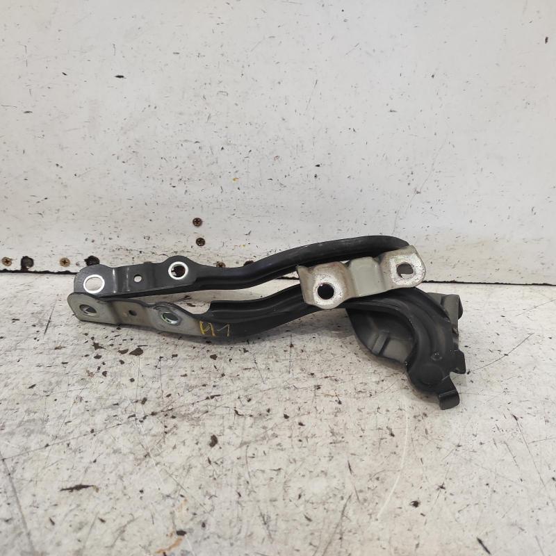 bonnet hinge/strut