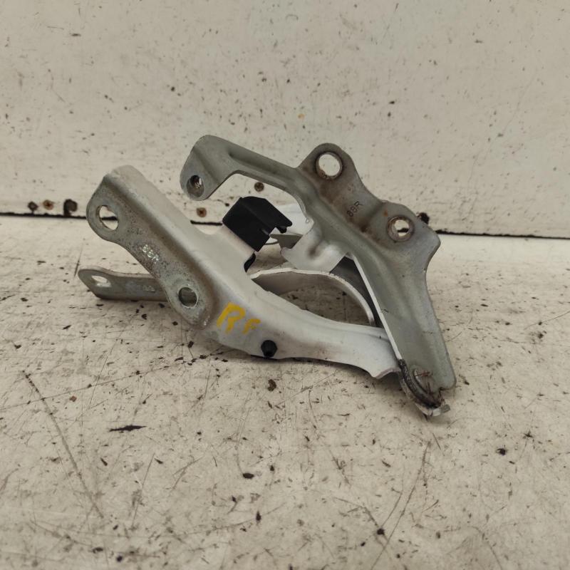 bonnet hinge/strut