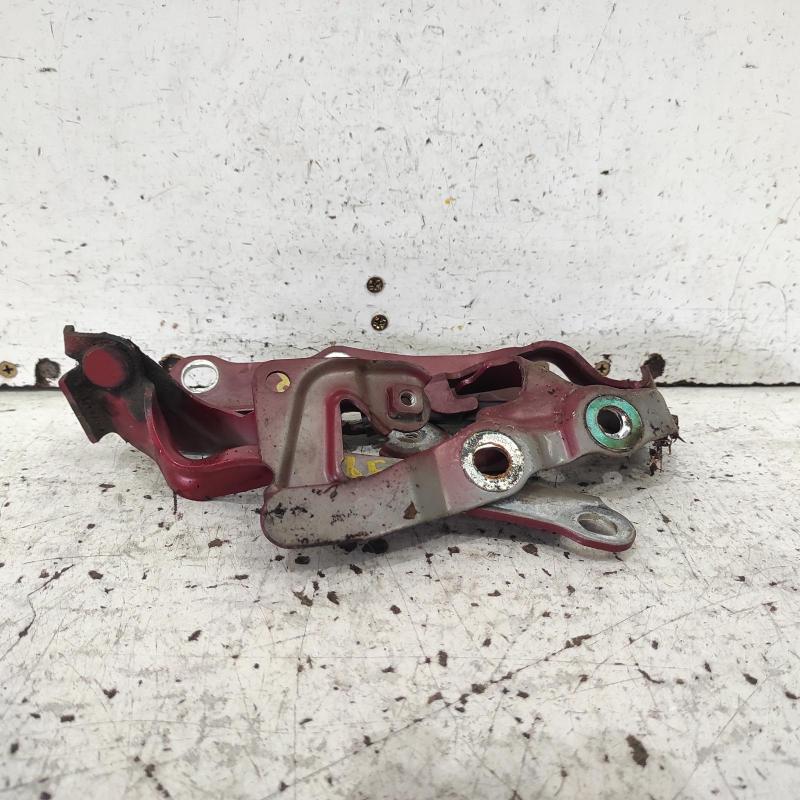 bonnet hinge/strut