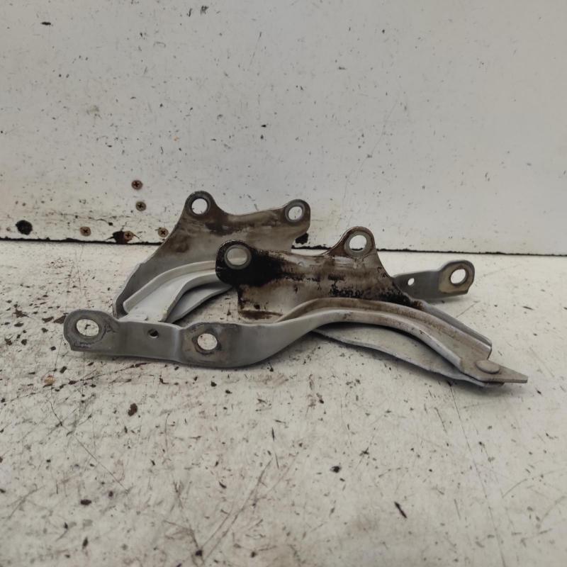 bonnet hinge/strut