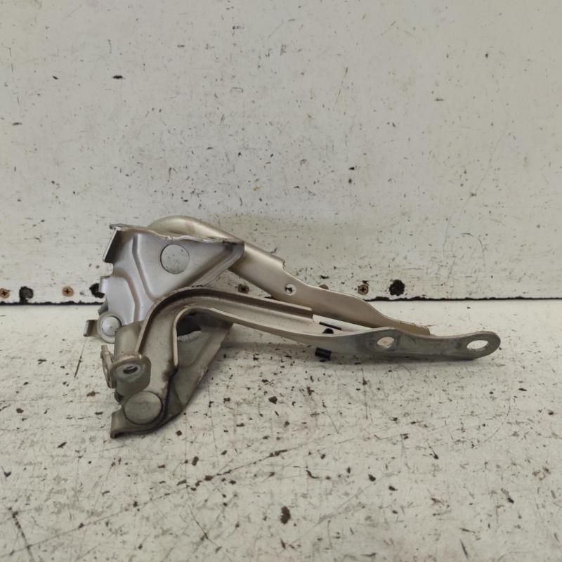 bonnet hinge/strut