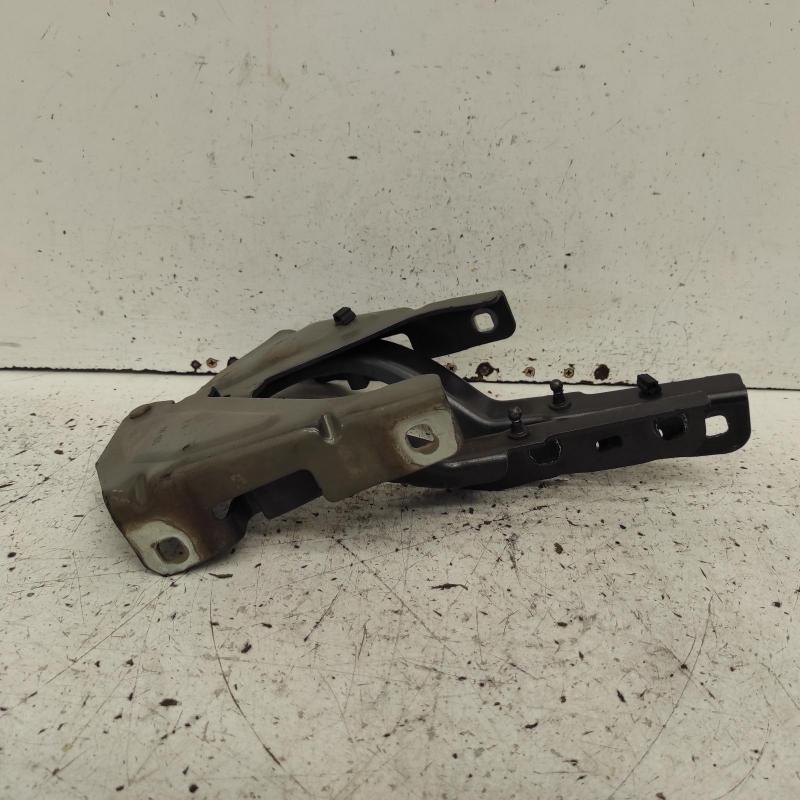 bonnet hinge/strut