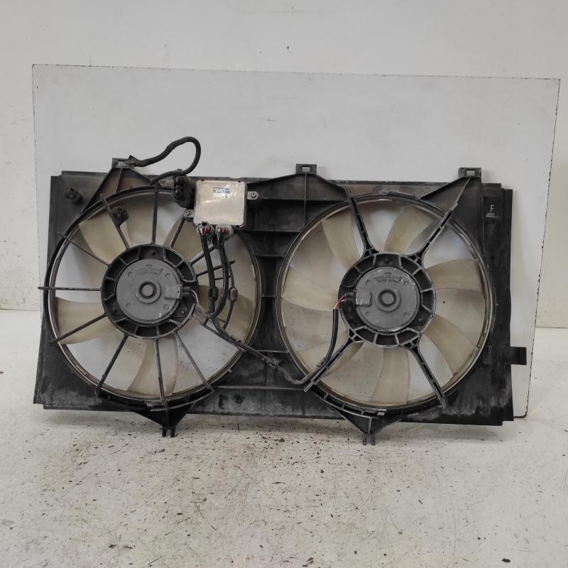 fan