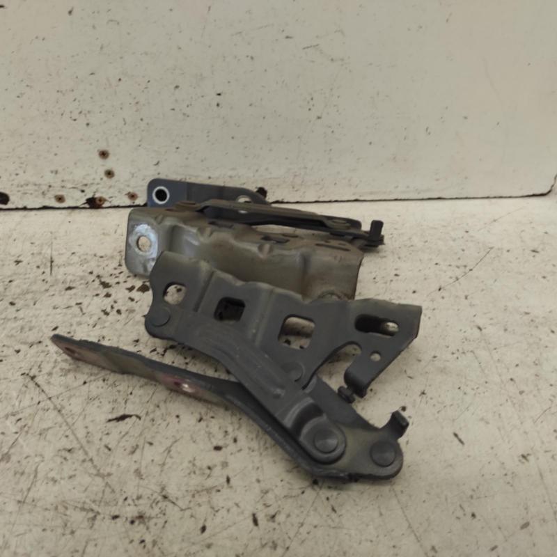 bonnet hinge/strut
