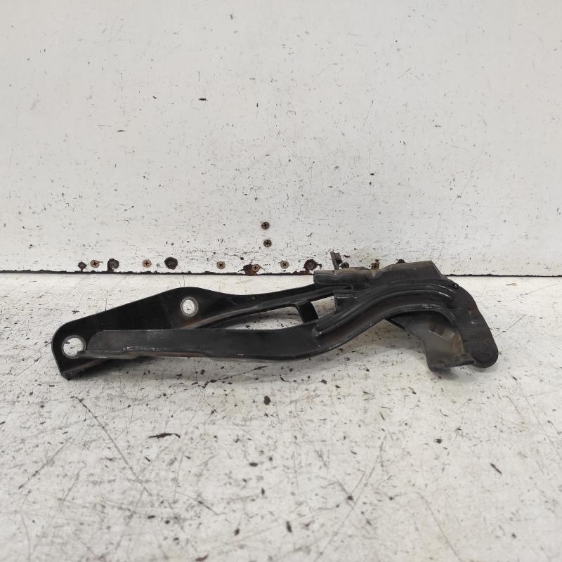 bonnet hinge/strut