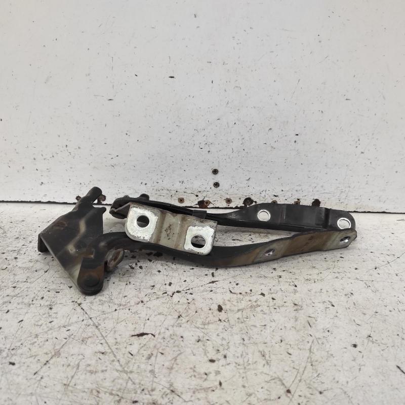 bonnet hinge/strut