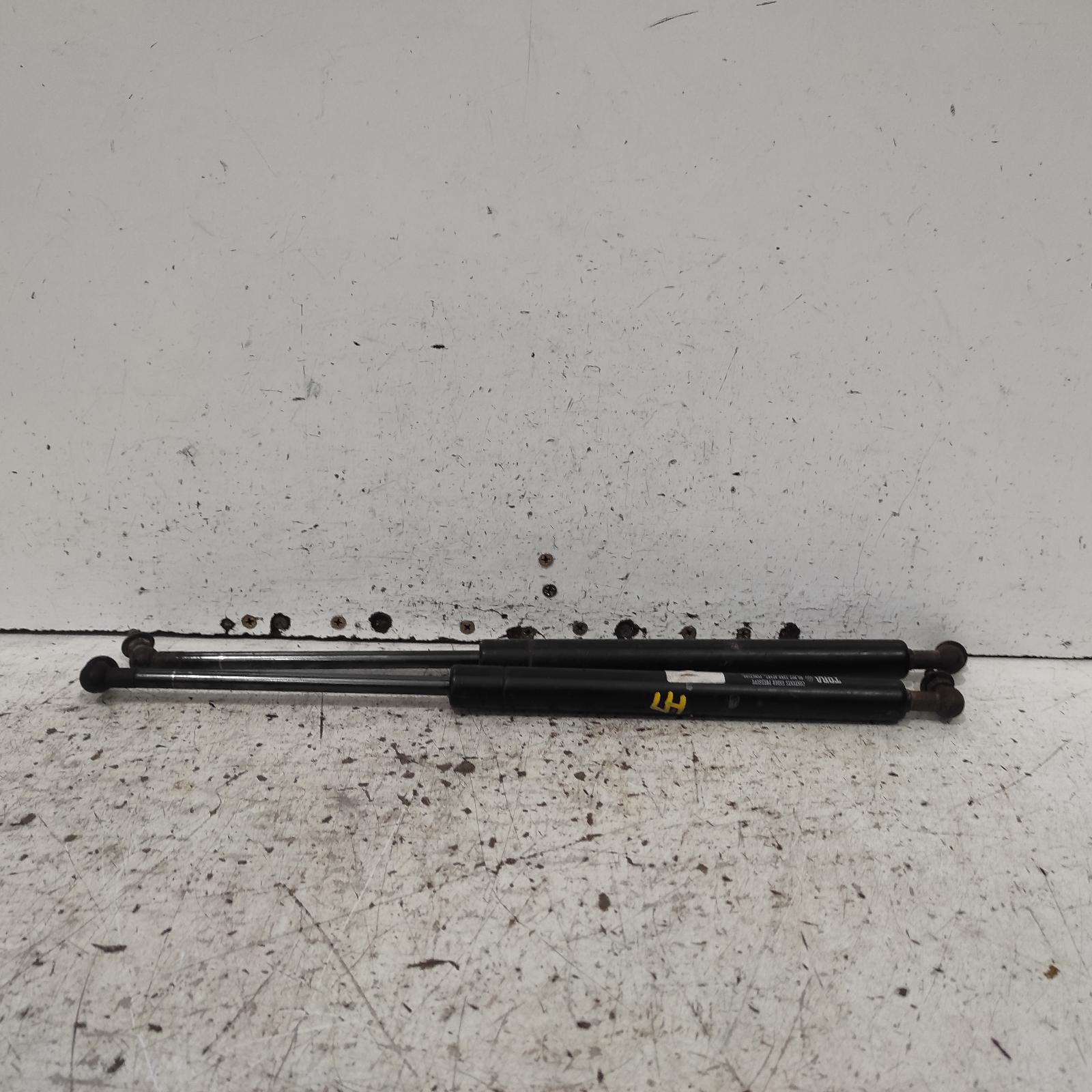 Landcruiser Bonnet Hinge/strut 1998-2007 100 series,struts (pair),01/98-10/07 00021772 #674062