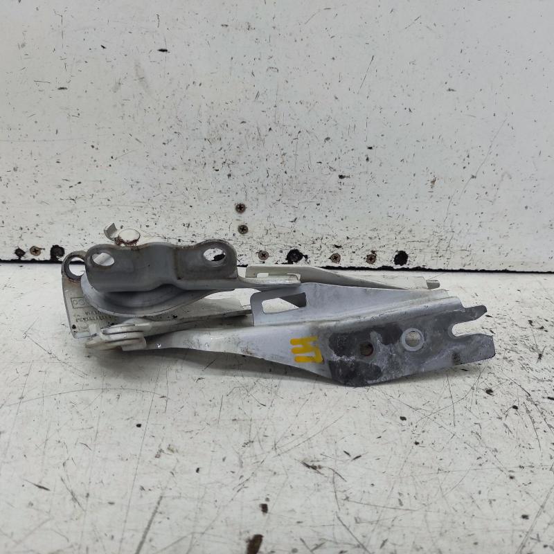 bonnet hinge/strut