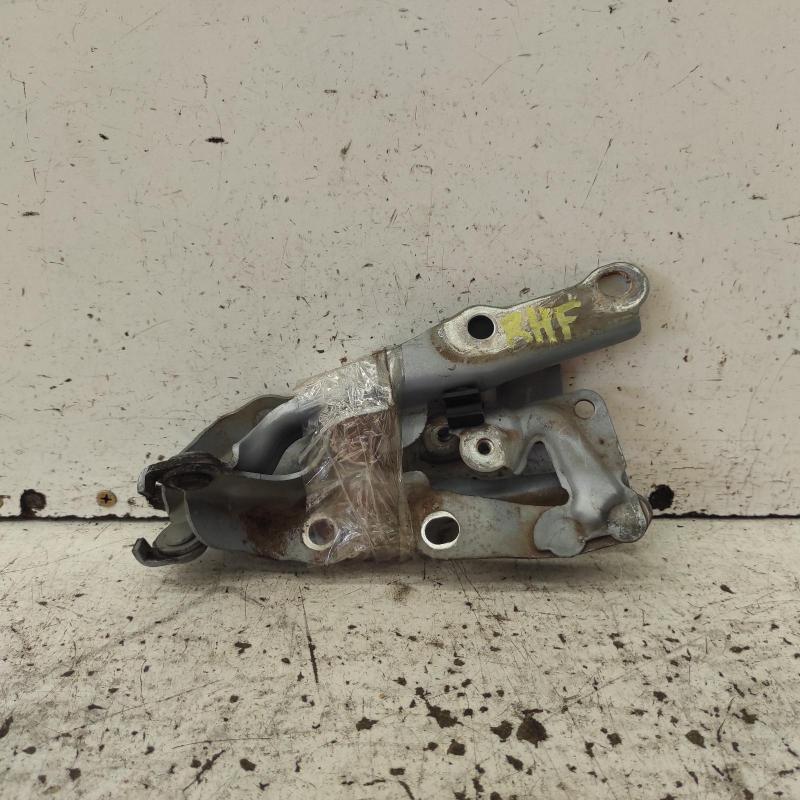 bonnet hinge/strut