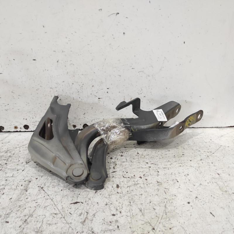 bonnet hinge/strut