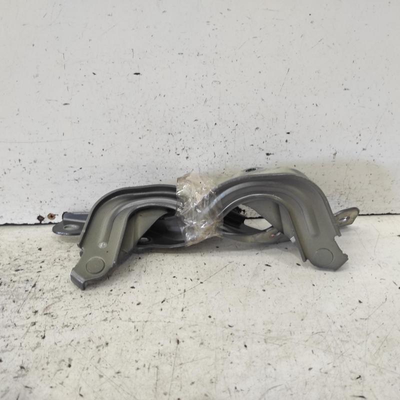 bonnet hinge/strut