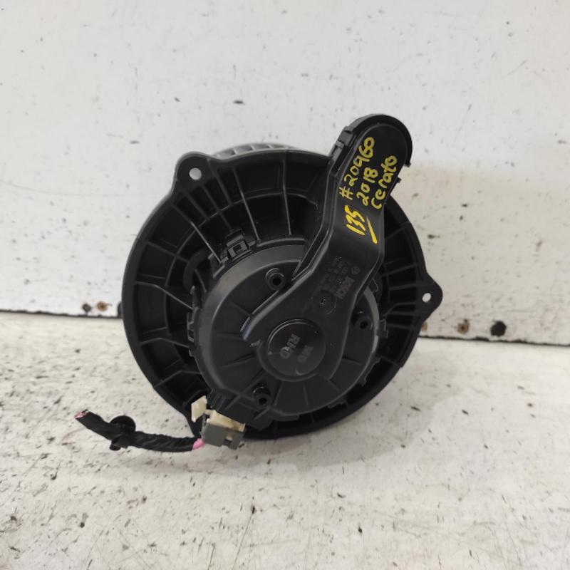 heater fan/motor