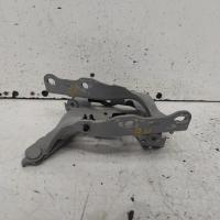 bonnet hinge/strut
