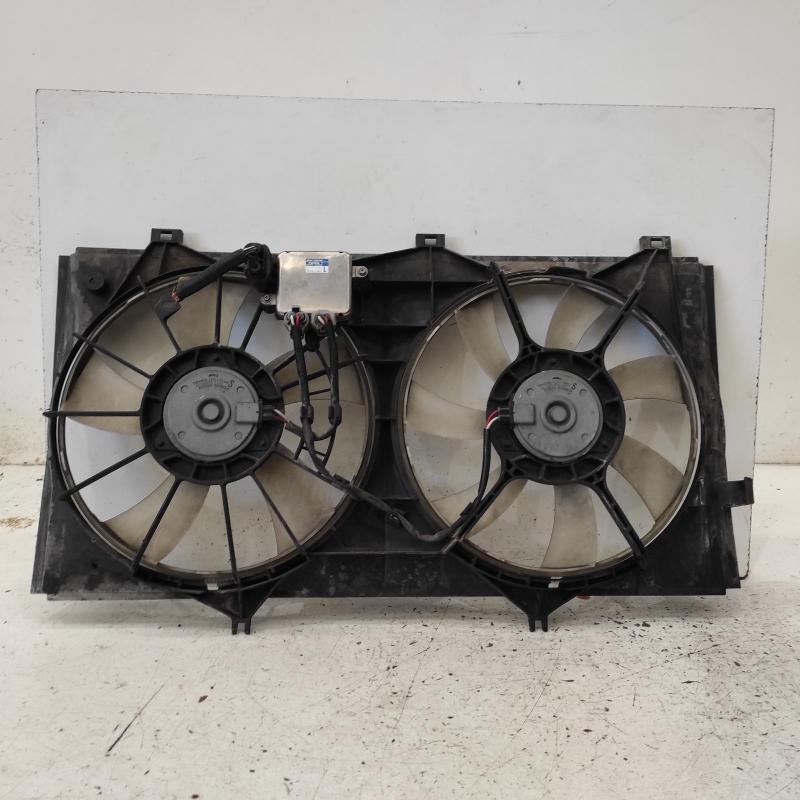 fan