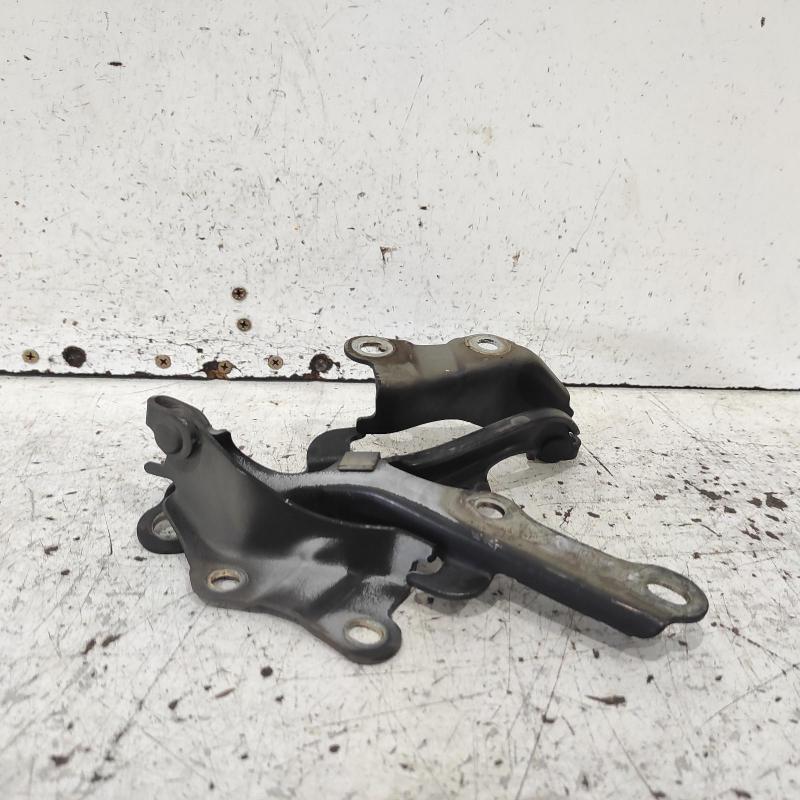 bonnet hinge/strut