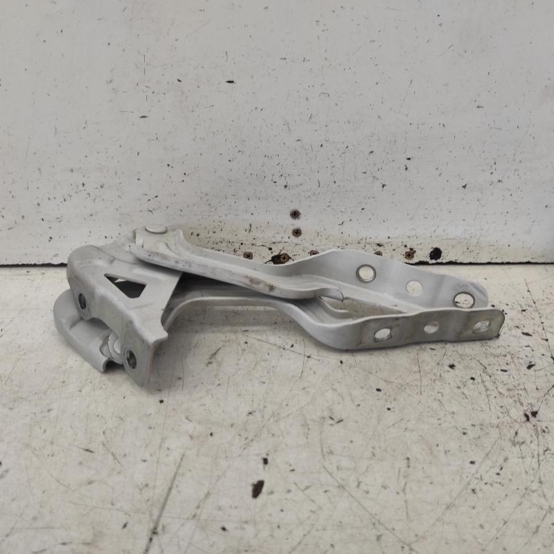 bonnet hinge/strut