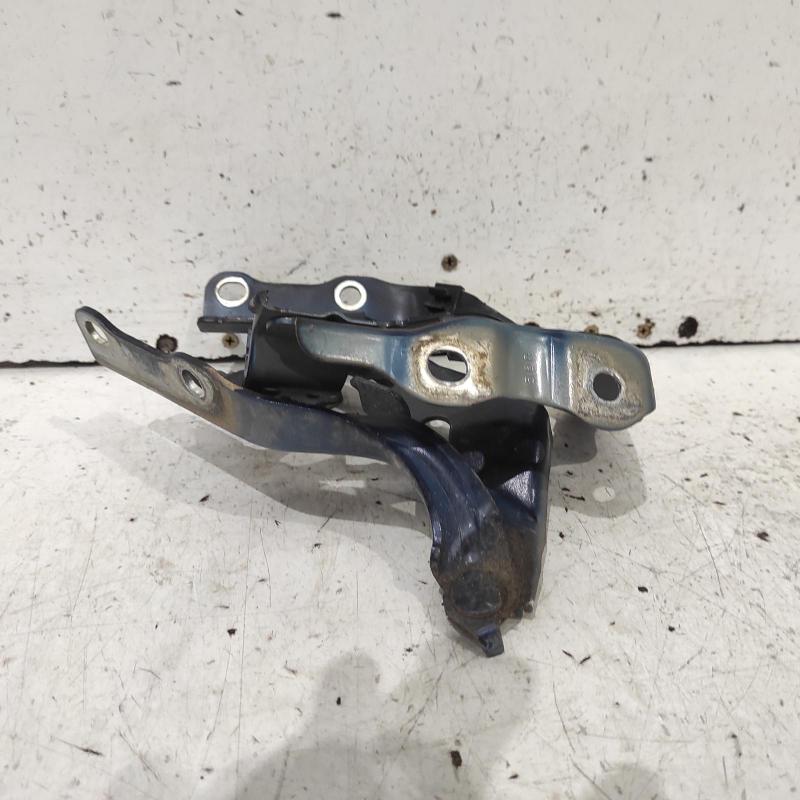 bonnet hinge/strut