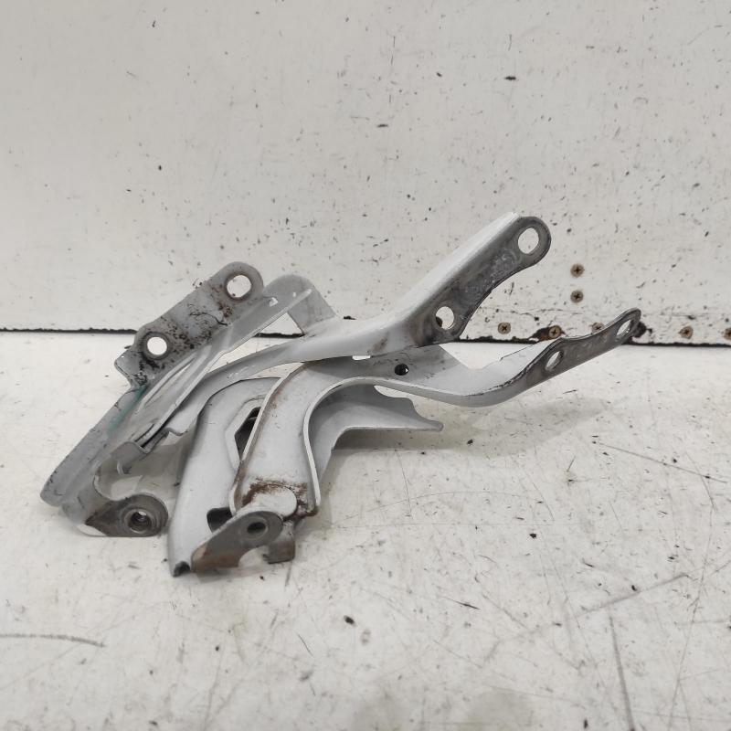 bonnet hinge/strut