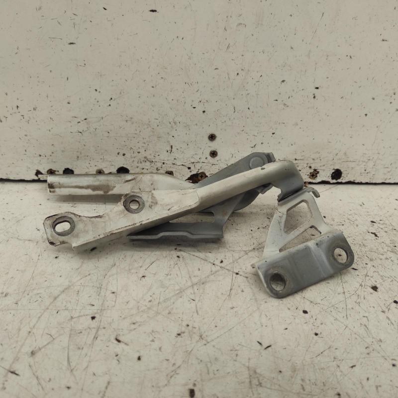 bonnet hinge/strut