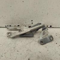 bonnet hinge/strut