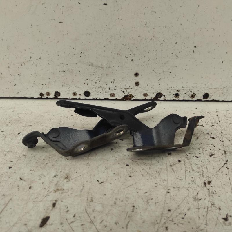 bonnet hinge/strut