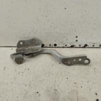bonnet hinge/strut