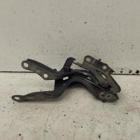 bonnet hinge/strut