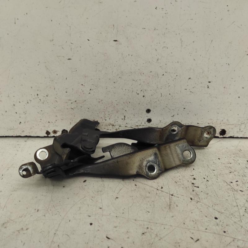 bonnet hinge/strut