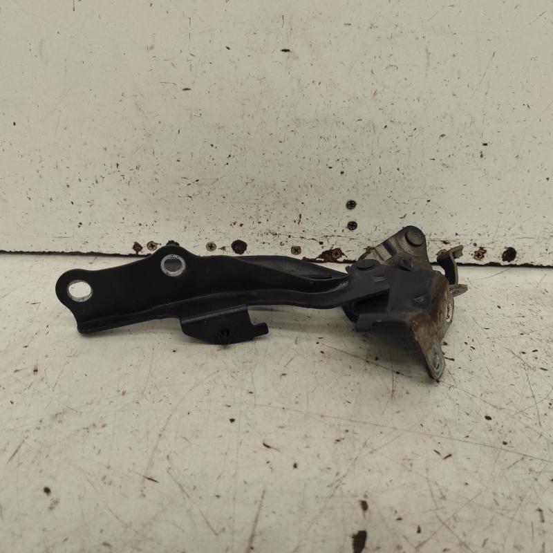 bonnet hinge/strut
