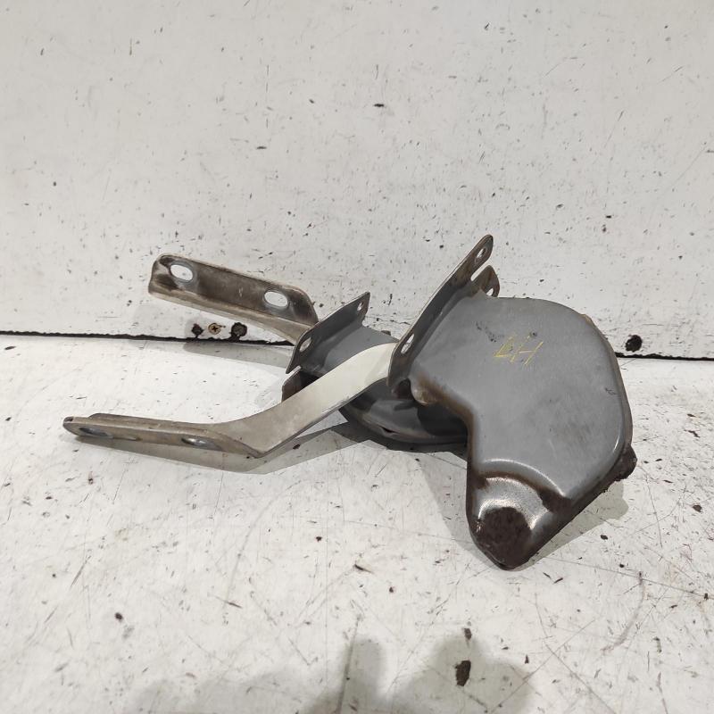 bonnet hinge/strut