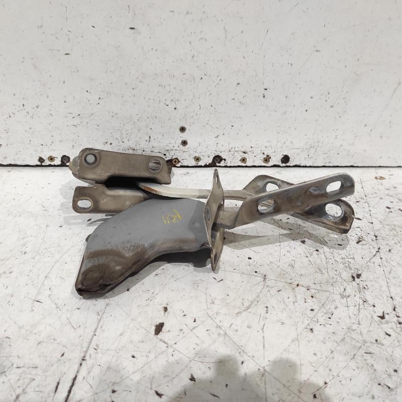 bonnet hinge/strut