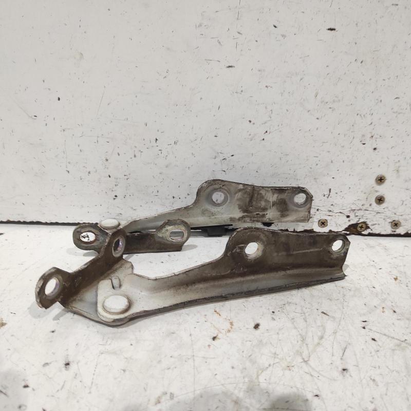bonnet hinge/strut