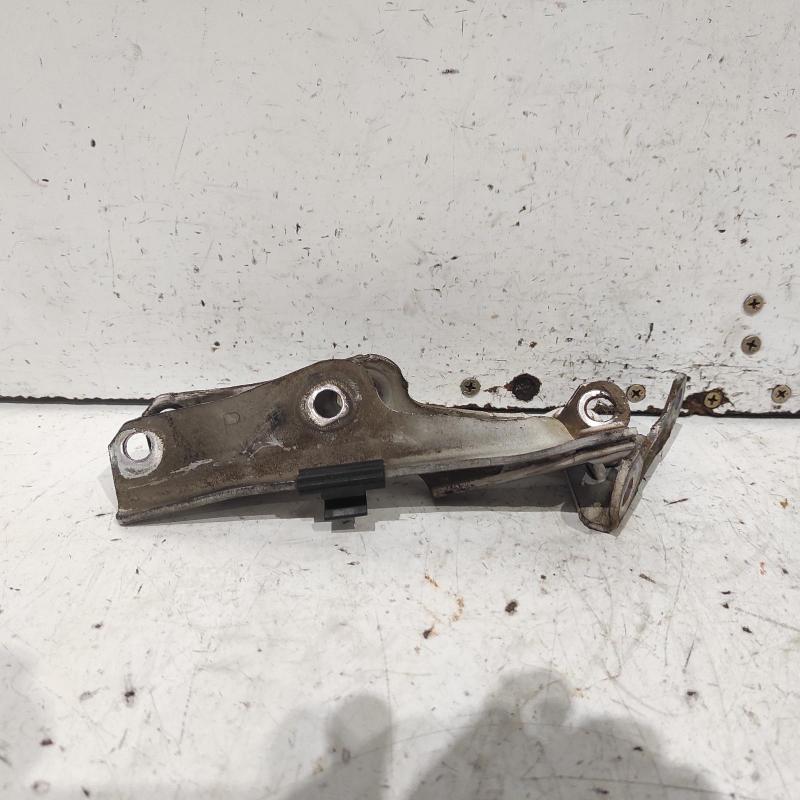 bonnet hinge/strut
