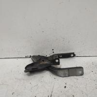 bonnet hinge/strut